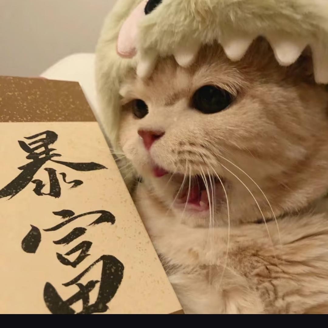 喵~~