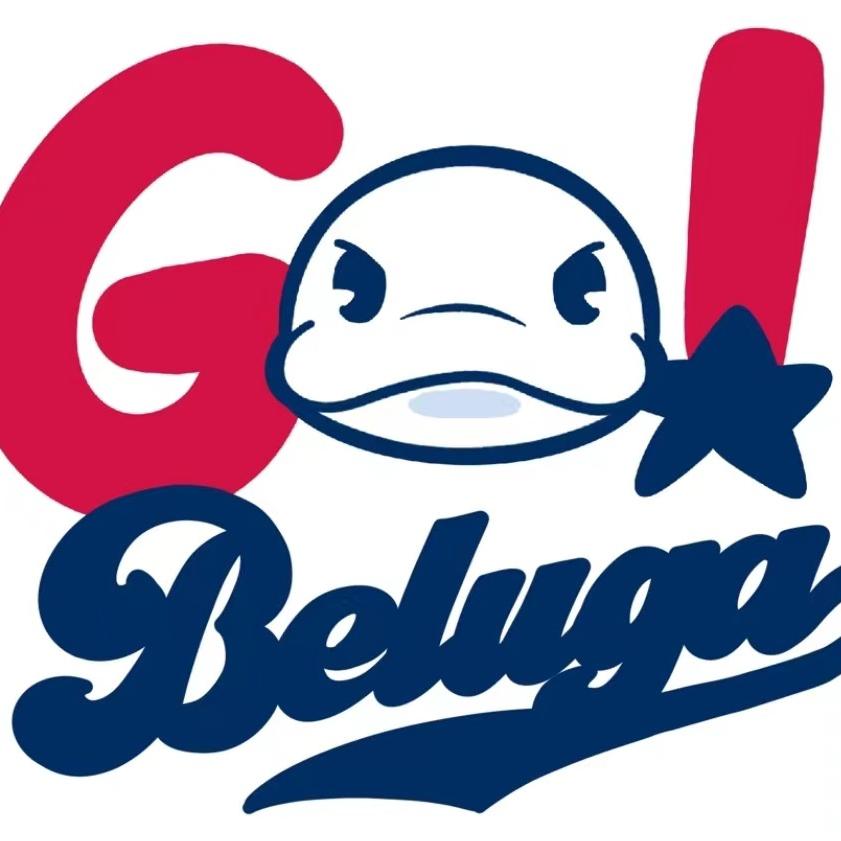BELUGA DC布鲁嘉棒球发展中心