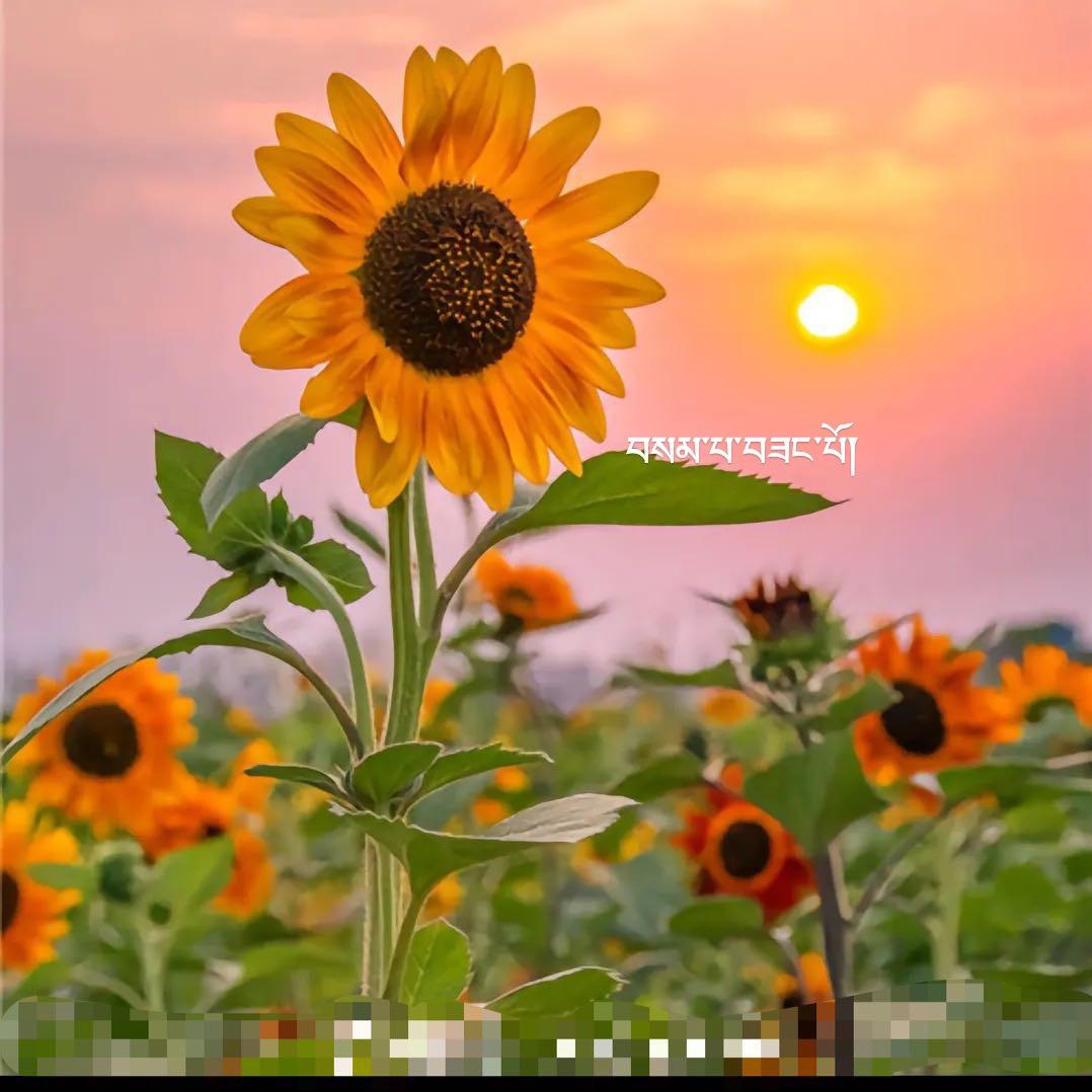 为了目标而奋斗💪