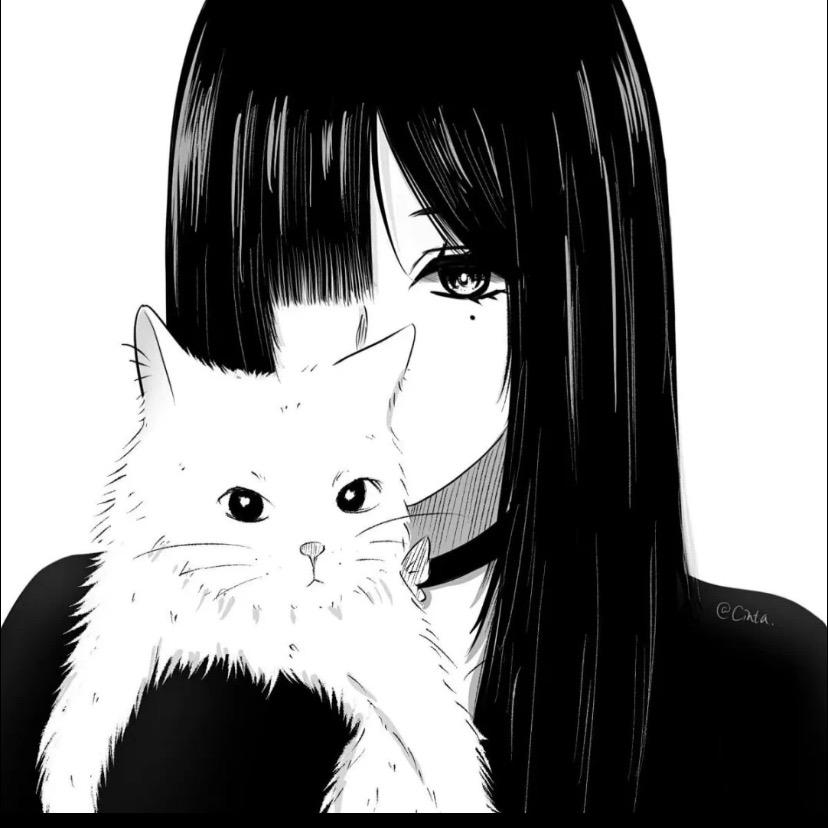 我叫小猫