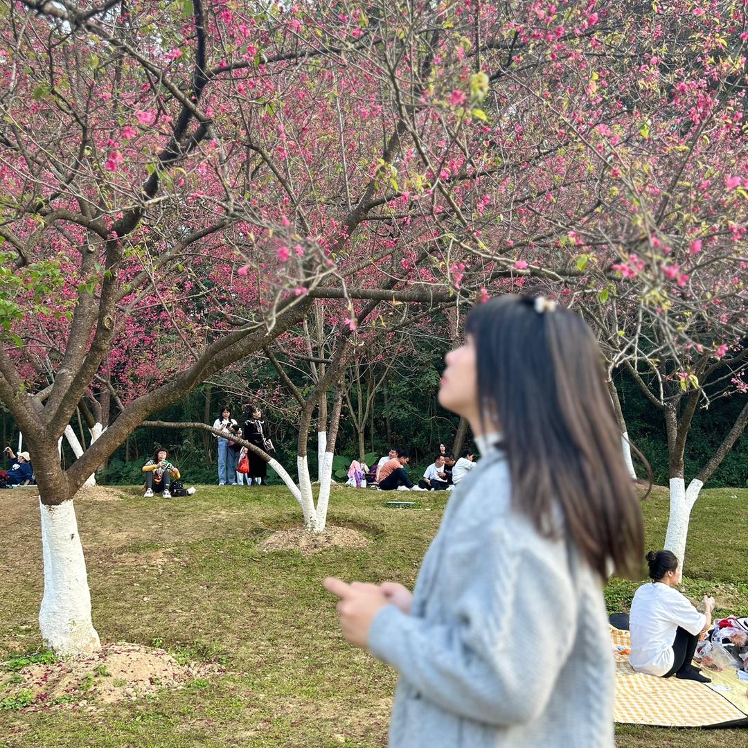 博学多才的🐷饲廖