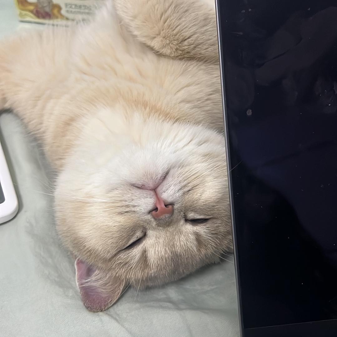 Miuny（星露谷第一深情版）