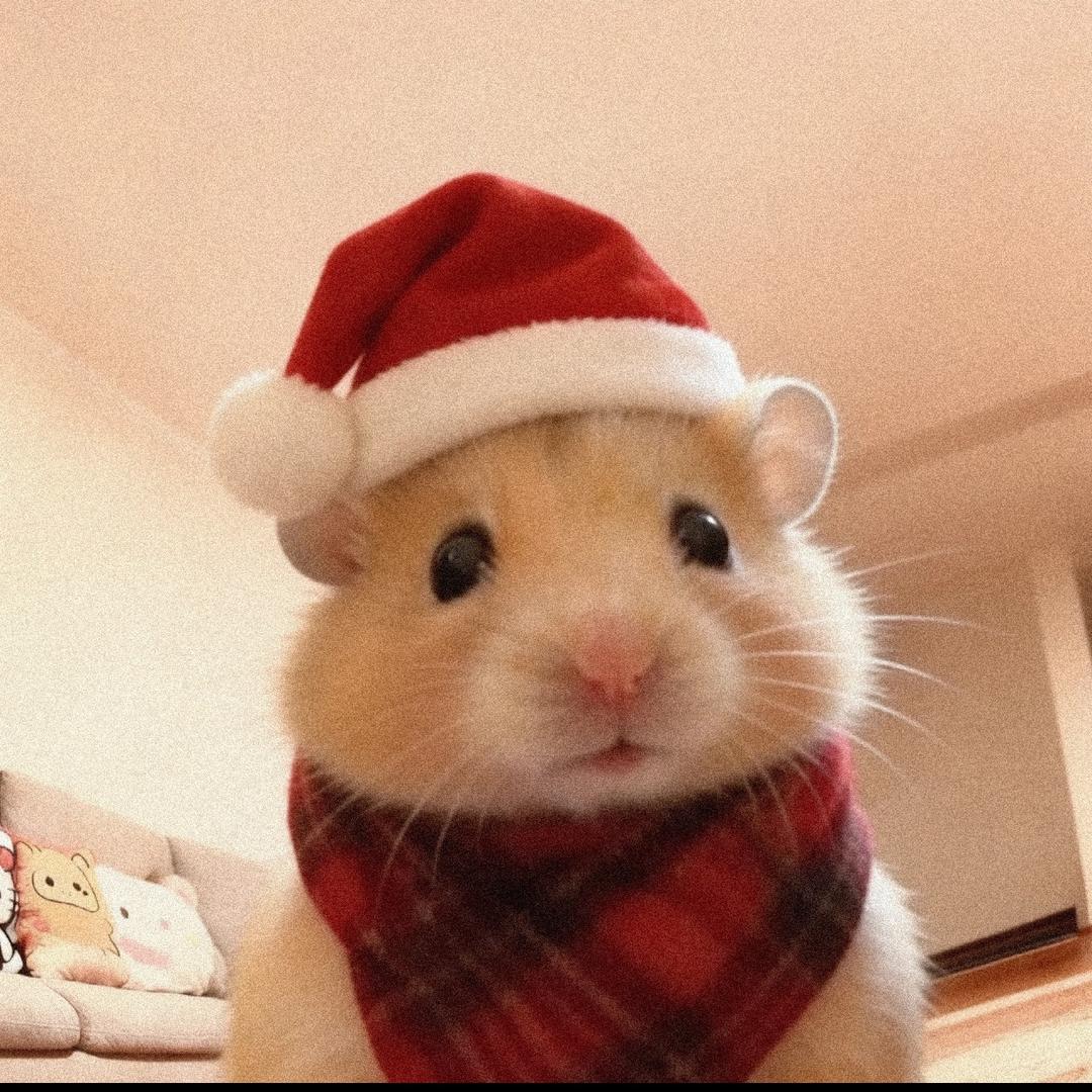 一块忧郁小饼干🍪