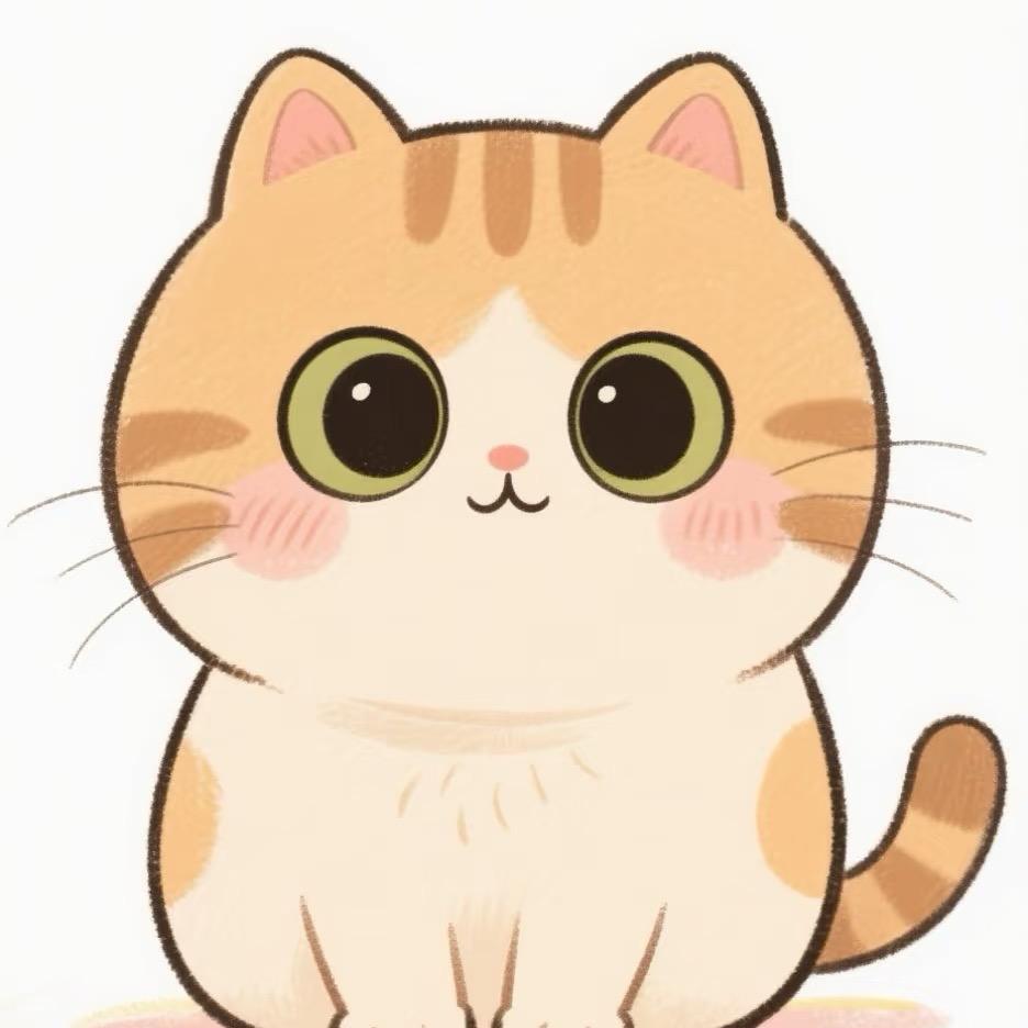 快餐猫-安安〖华屹时代店〗