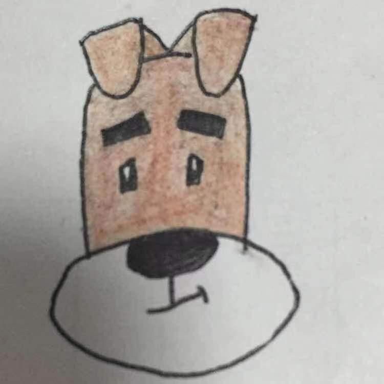 任丘市小尾巴宠物店