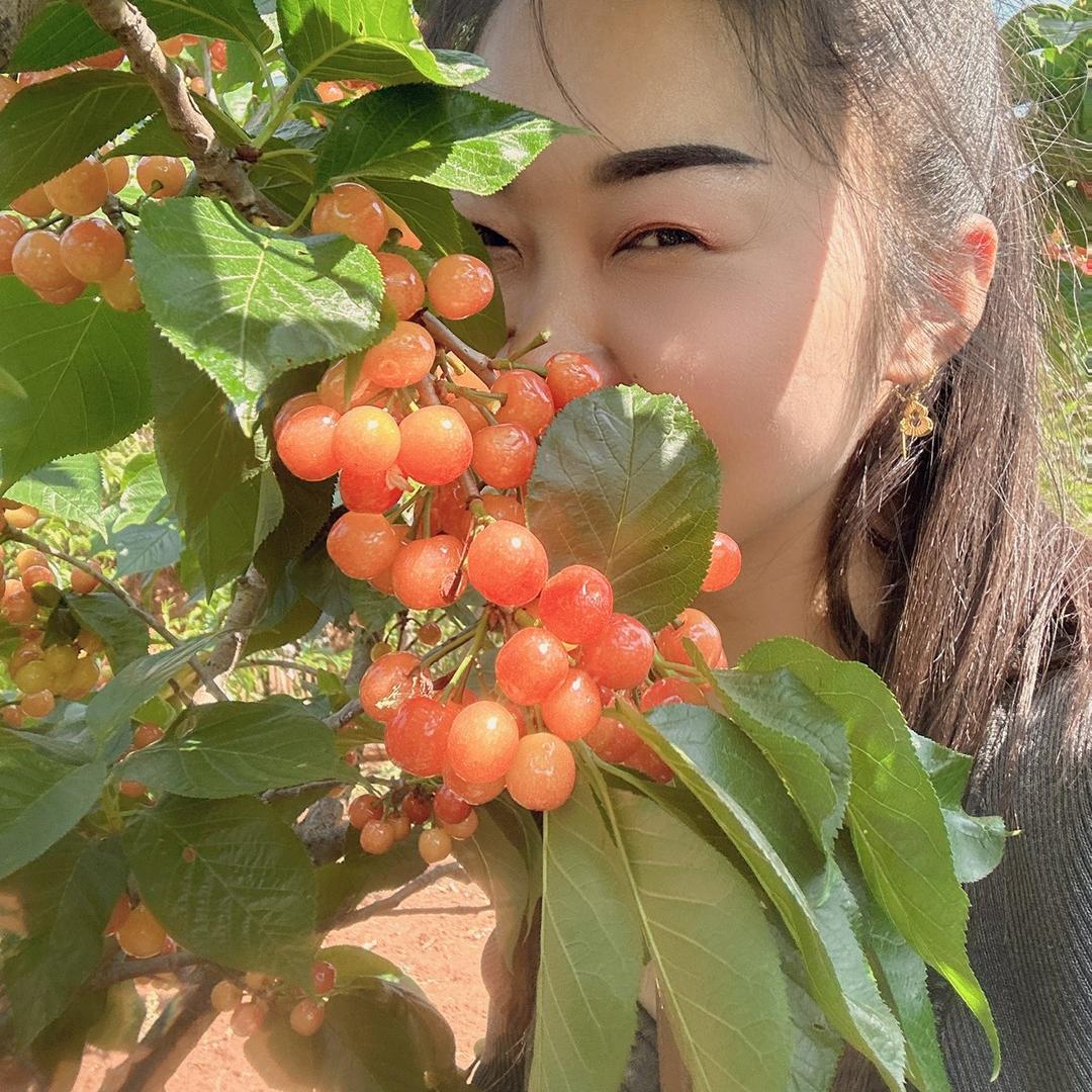 🌹小辉辉🌹