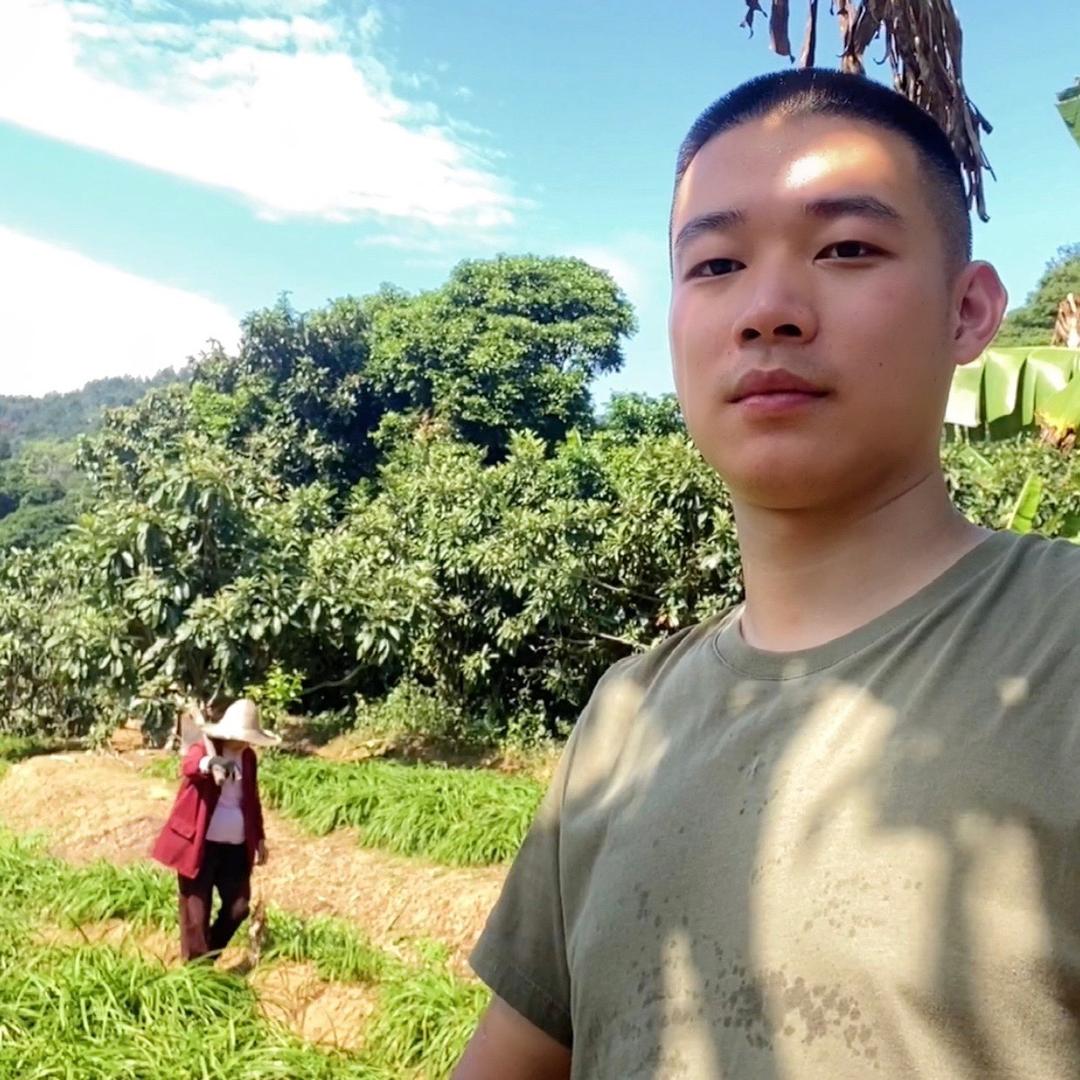 呆仔青年