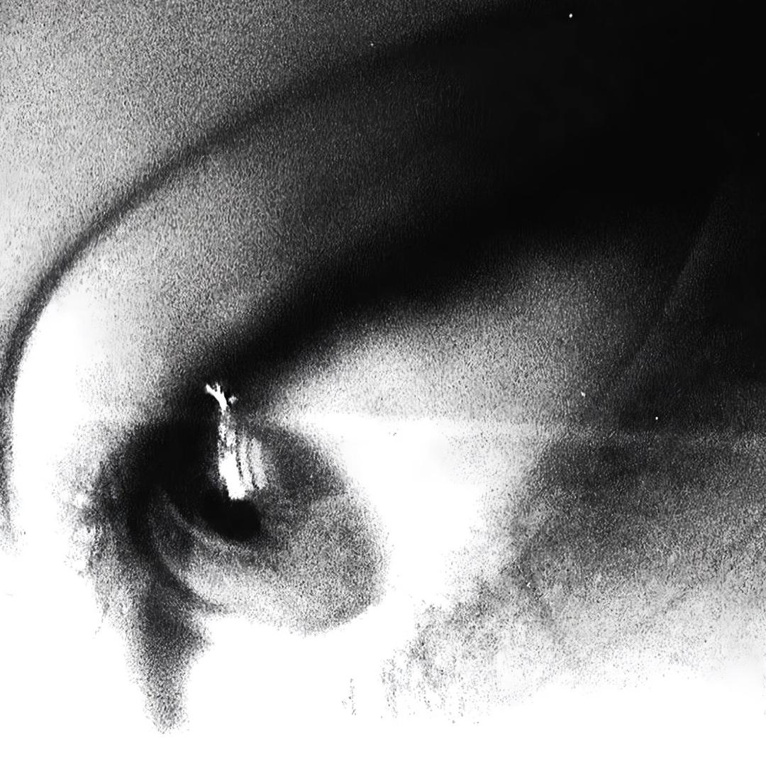 脑浆迸裂时想起没浇花