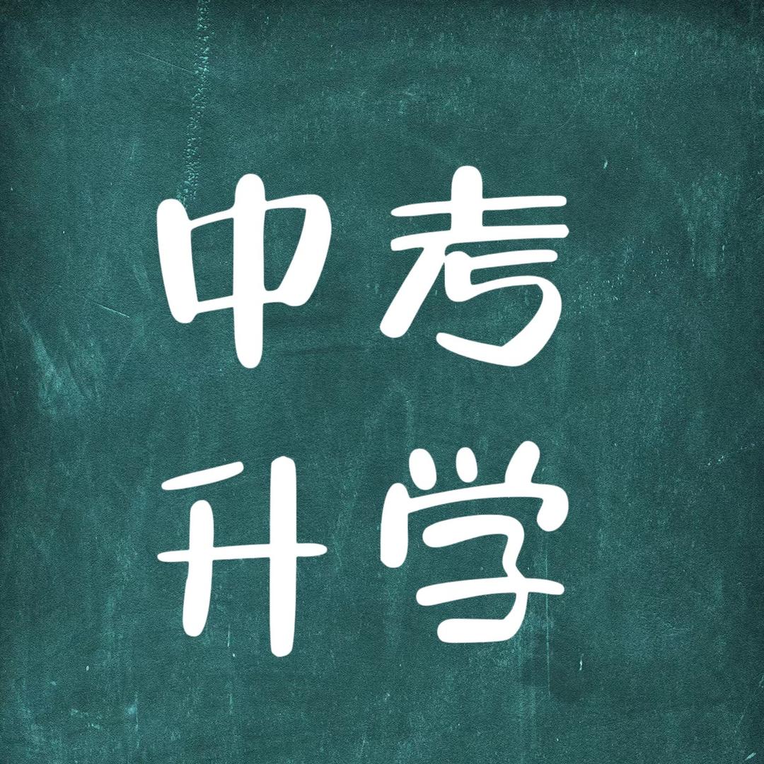 中考升学迟老师