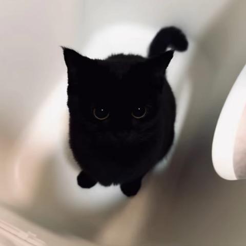 千钰