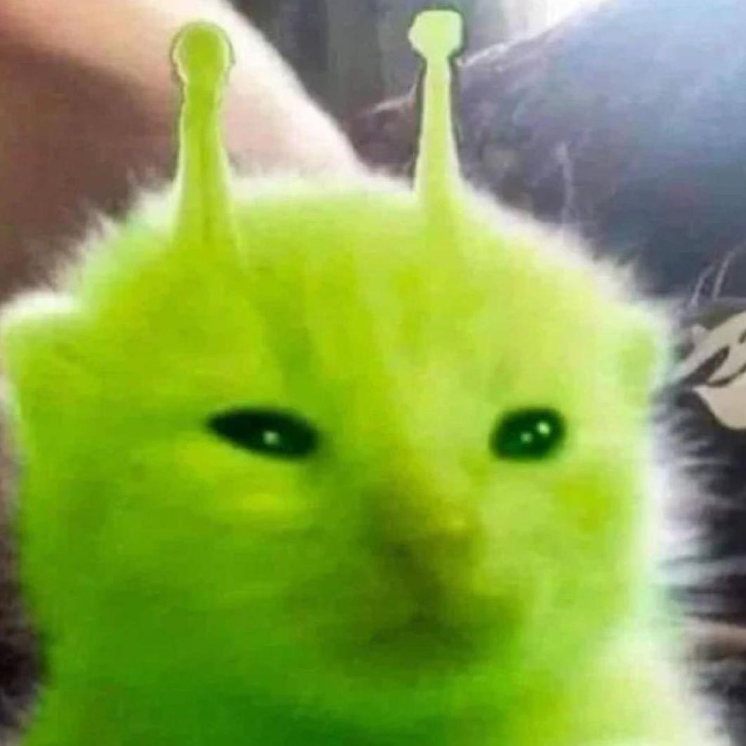 Zzj