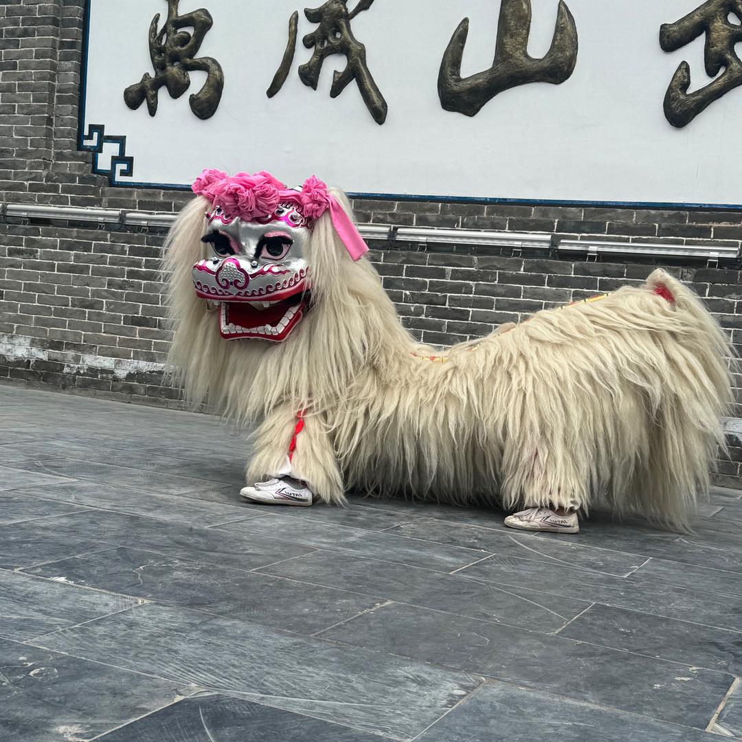 河南醒龙舞狮表演团  小虎