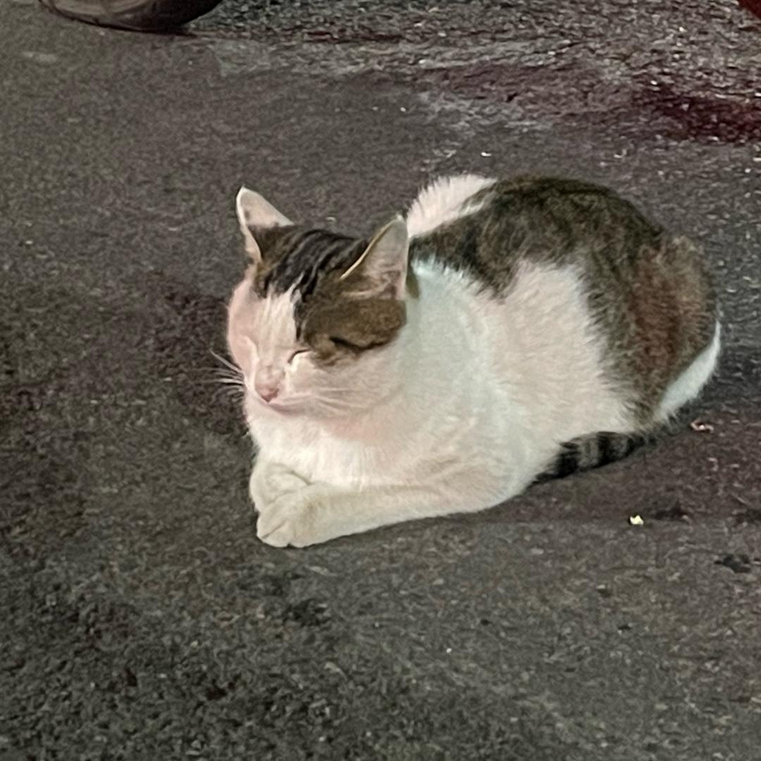 卢宵元