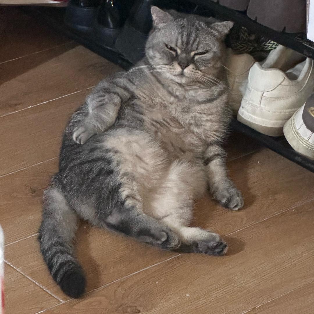 11和蹦蹦