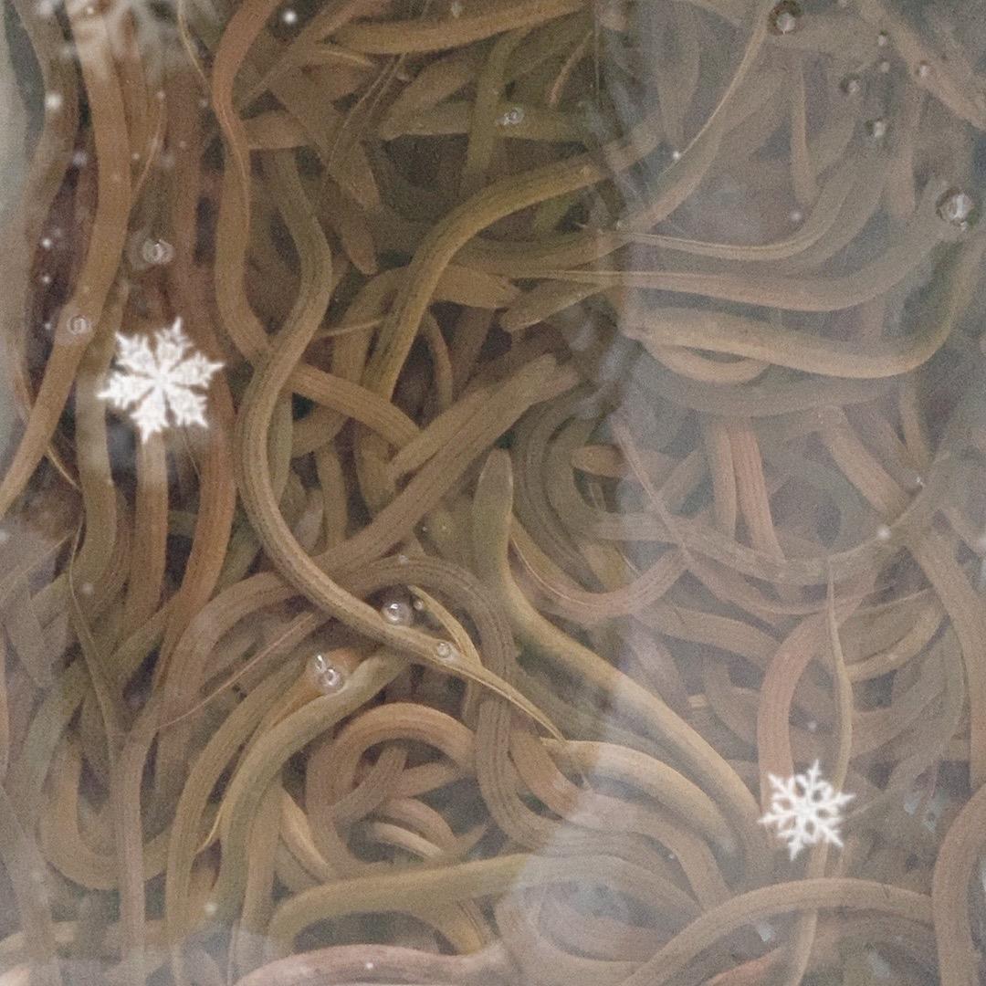 兆康农业