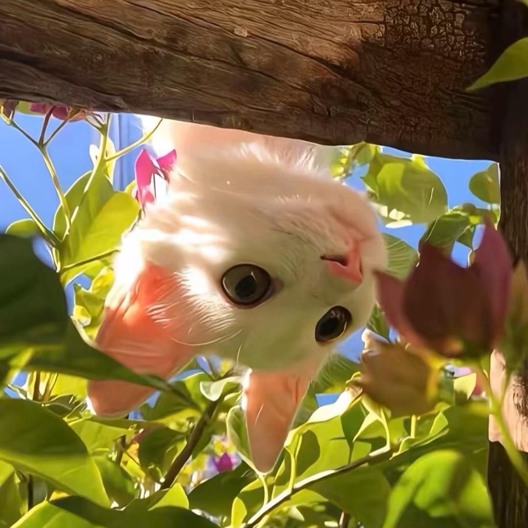 两横一竖就是干