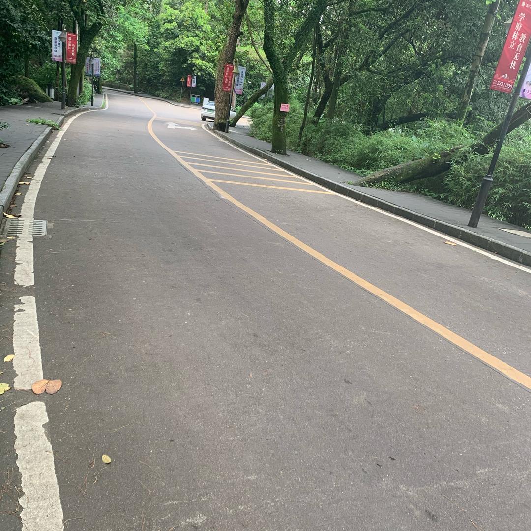 小濑喵