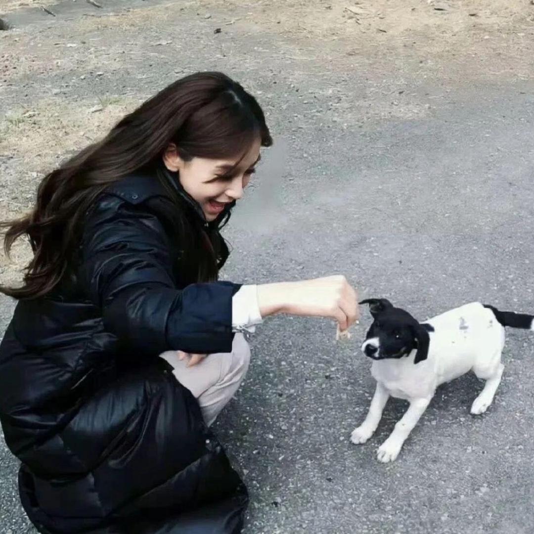 杨梅汁