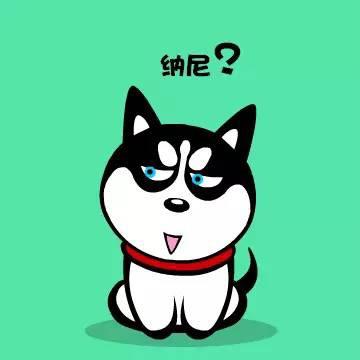 裴二狗@抖音