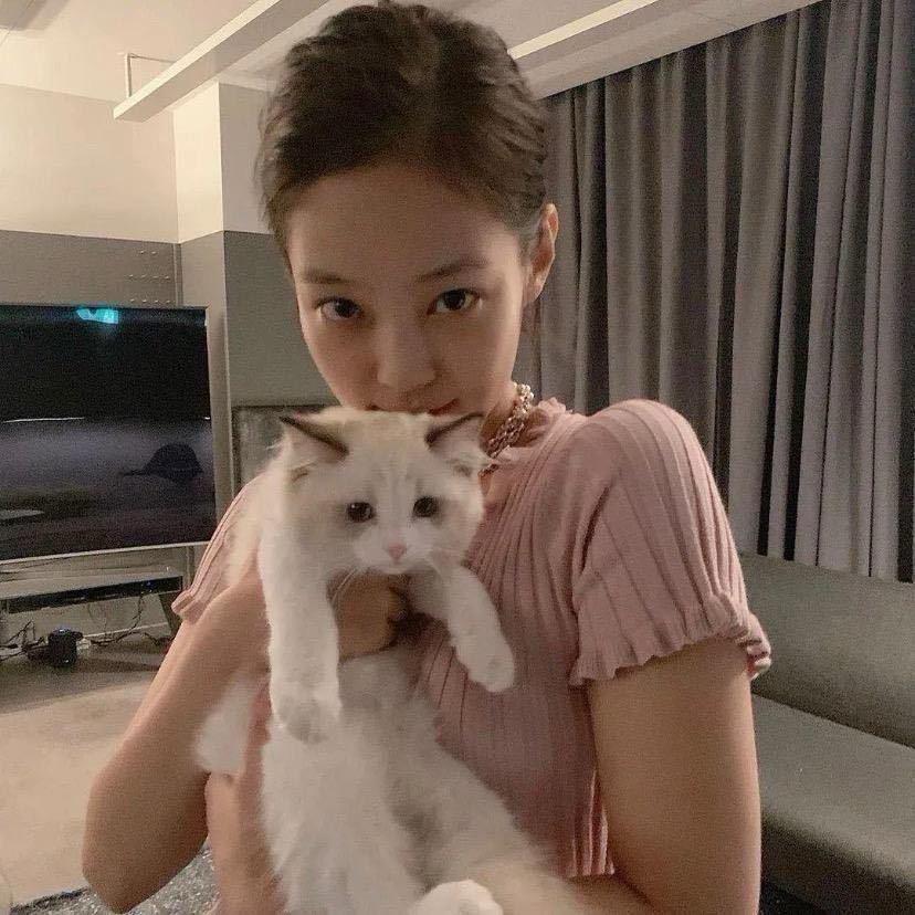 猫猫 