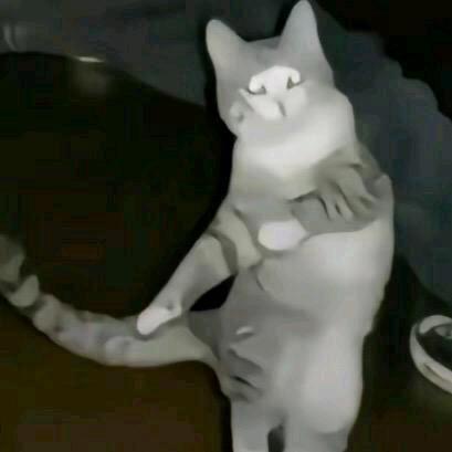 根号三的世界你不懂