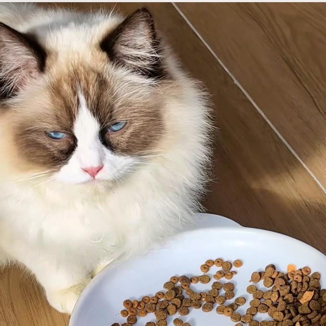 李小熊-小名扣妮