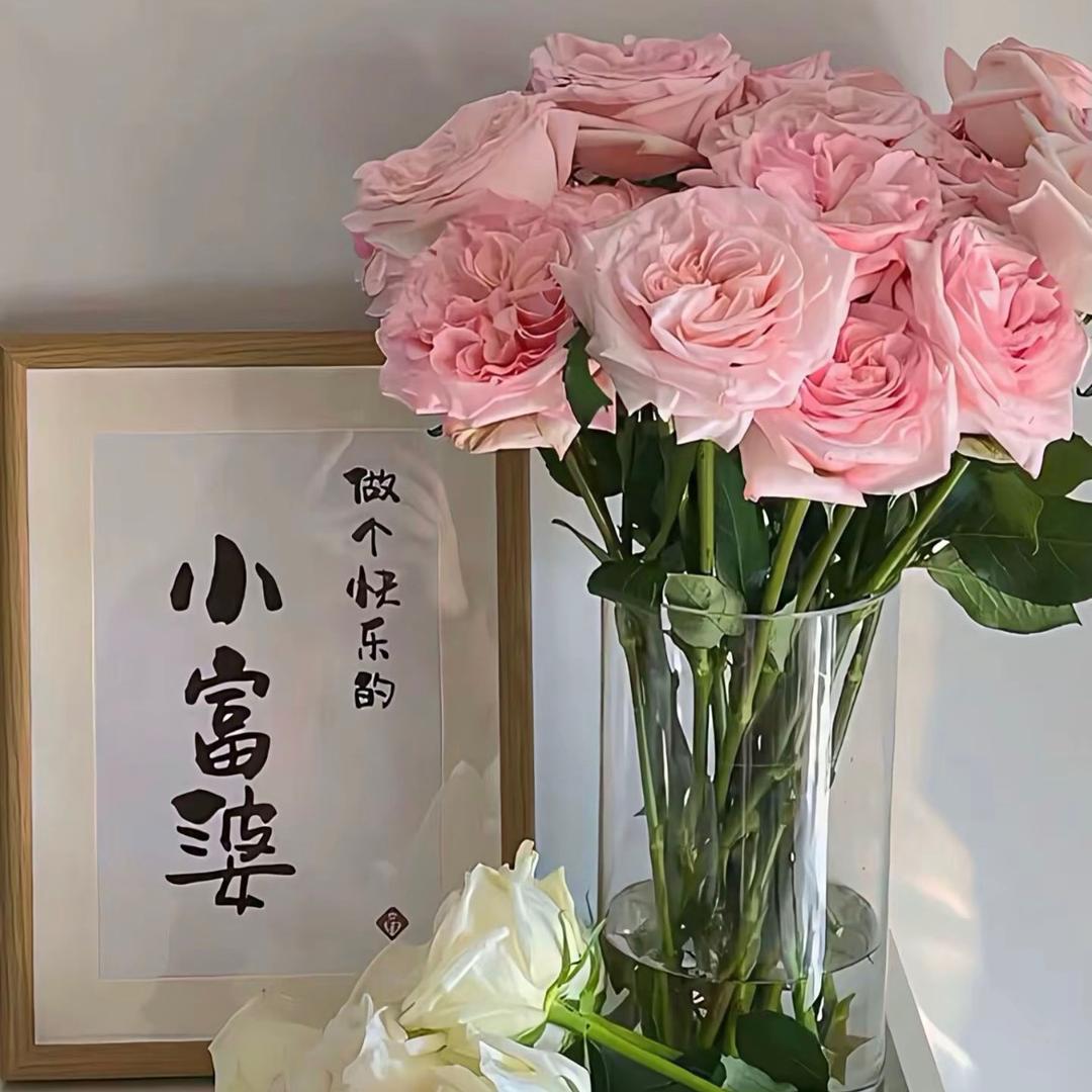 三观不同，互相尊重🙏