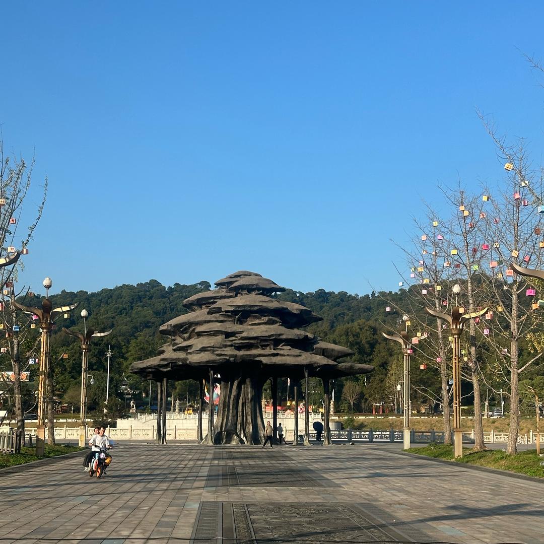 闪亮登场