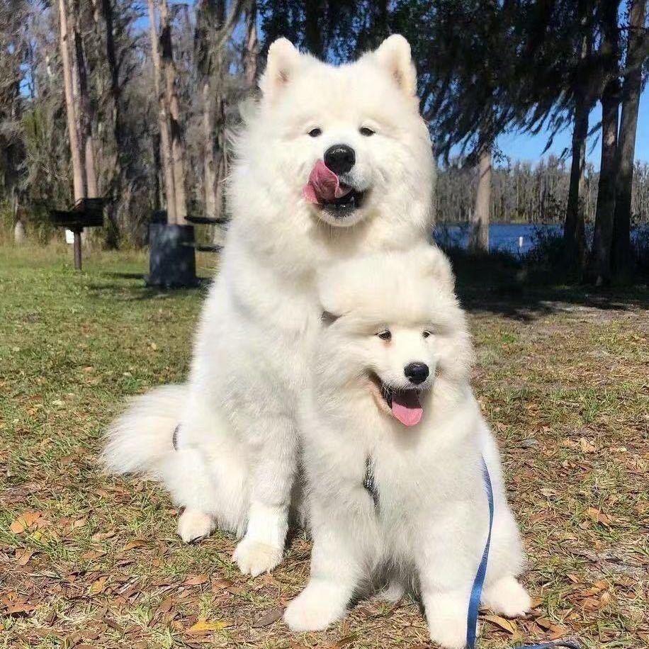 魑魅魍魉魁魃魆魈