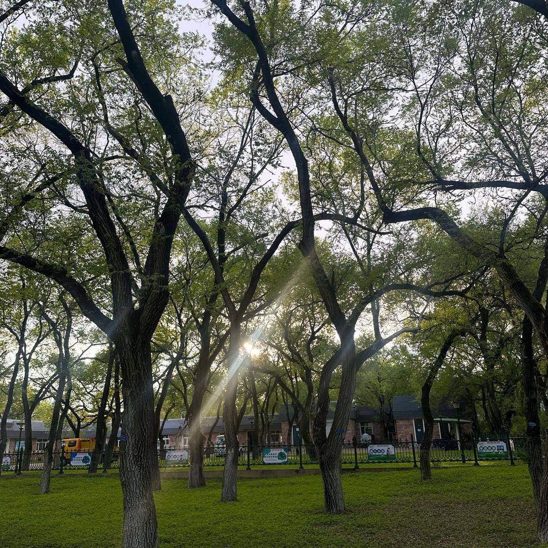 ☪︎⋆.晨贺໌ ོྂཾ࿆࿐