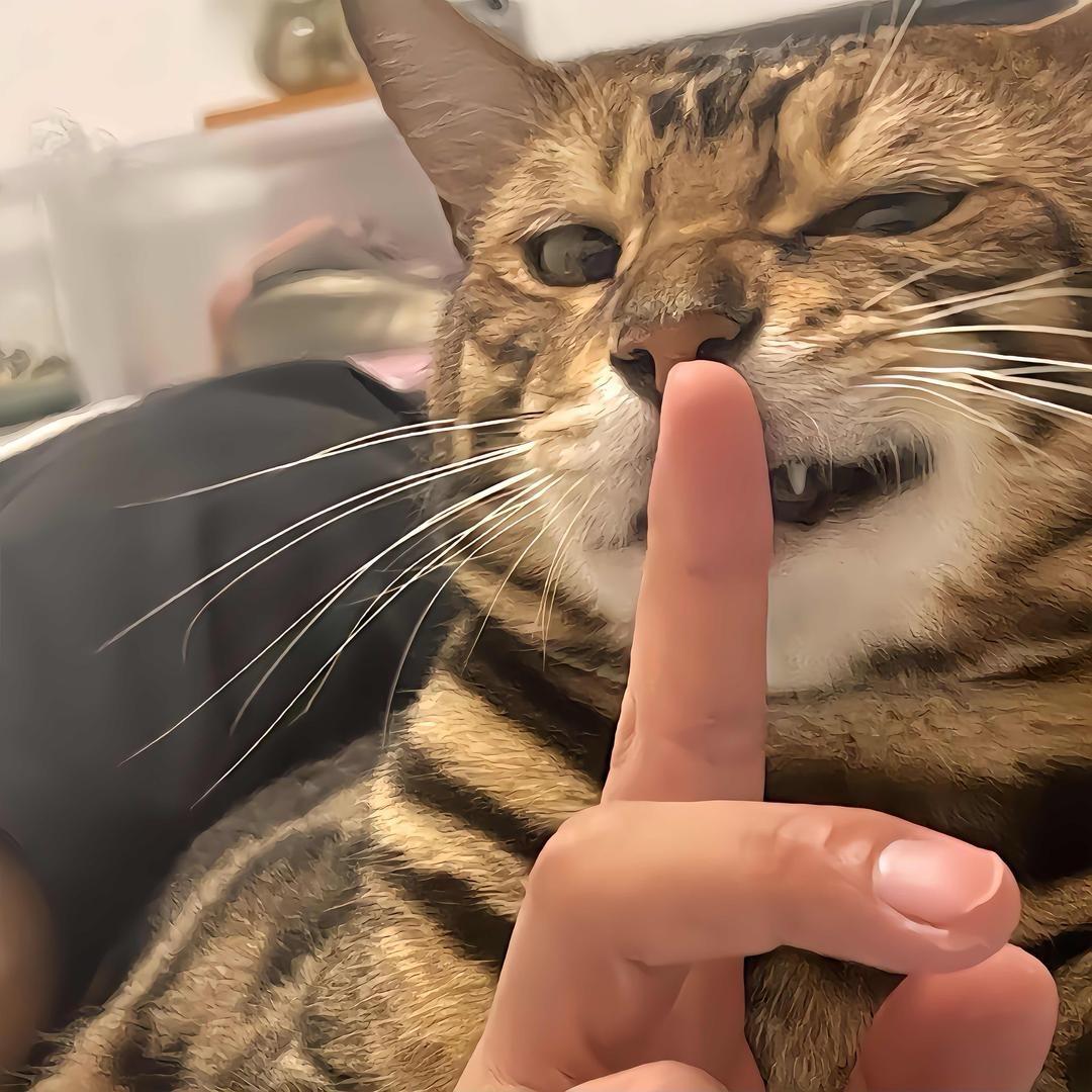 死嘴别馋.