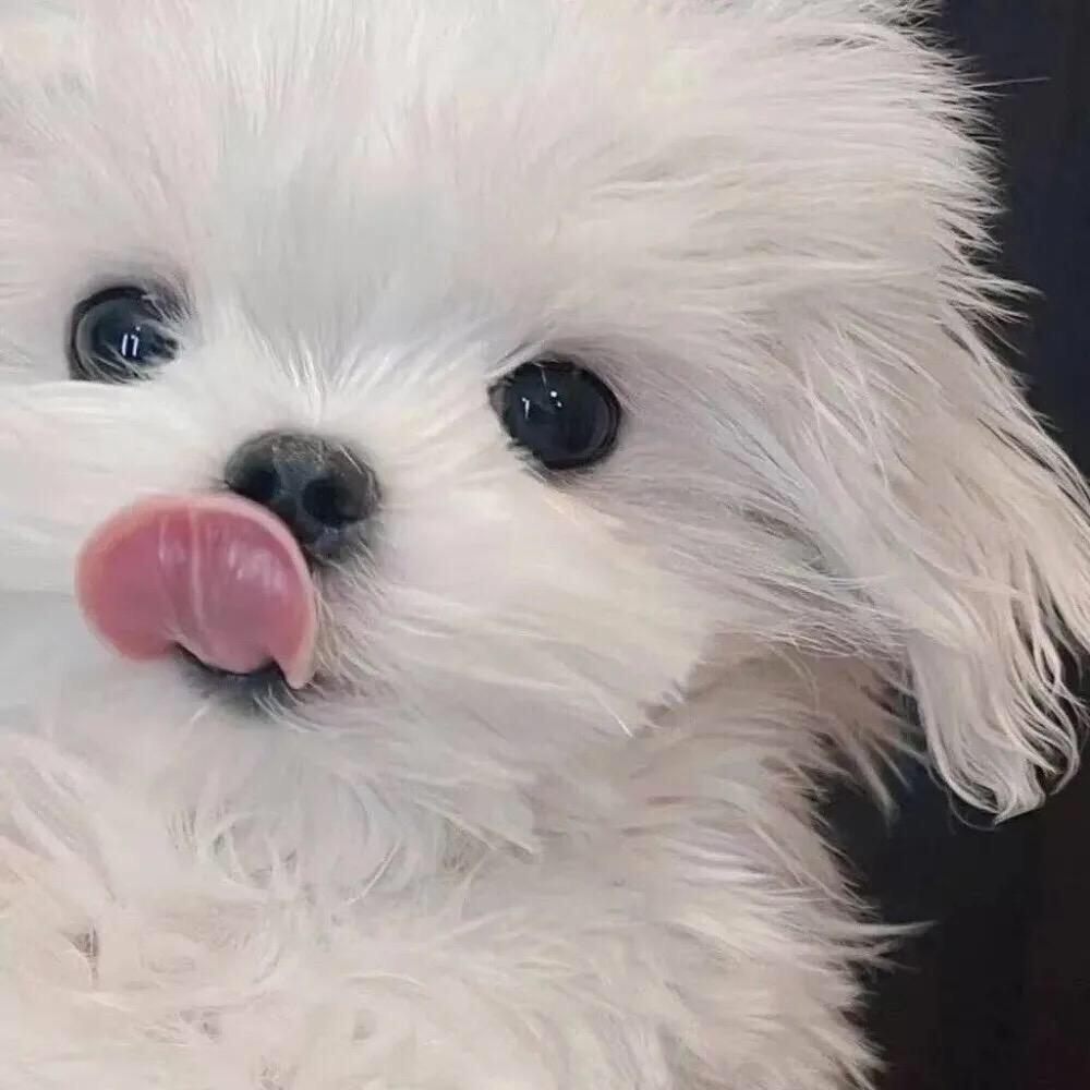 任小雨
