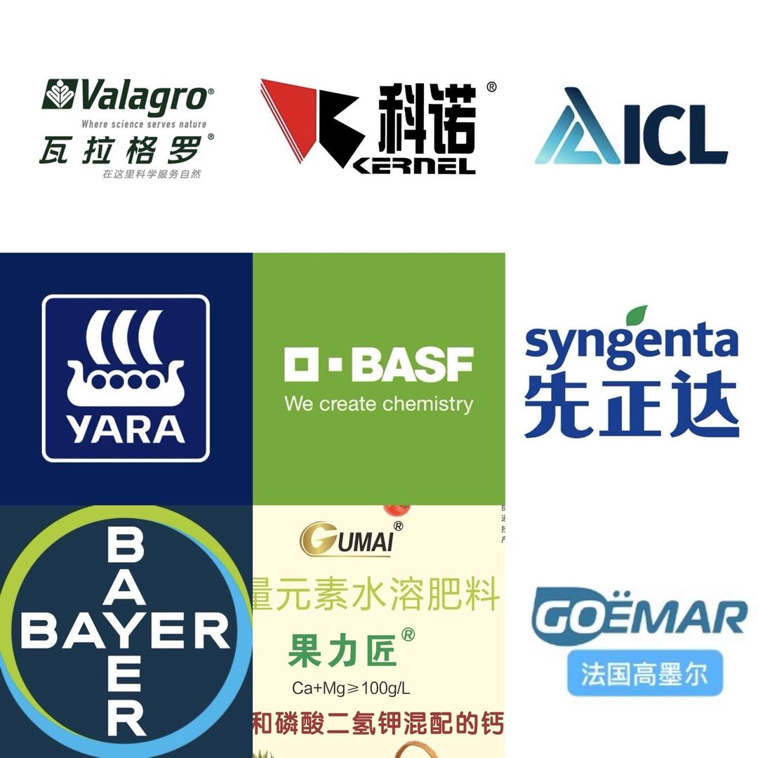 黄瓜类五彩椒西瓜甜瓜全程管理