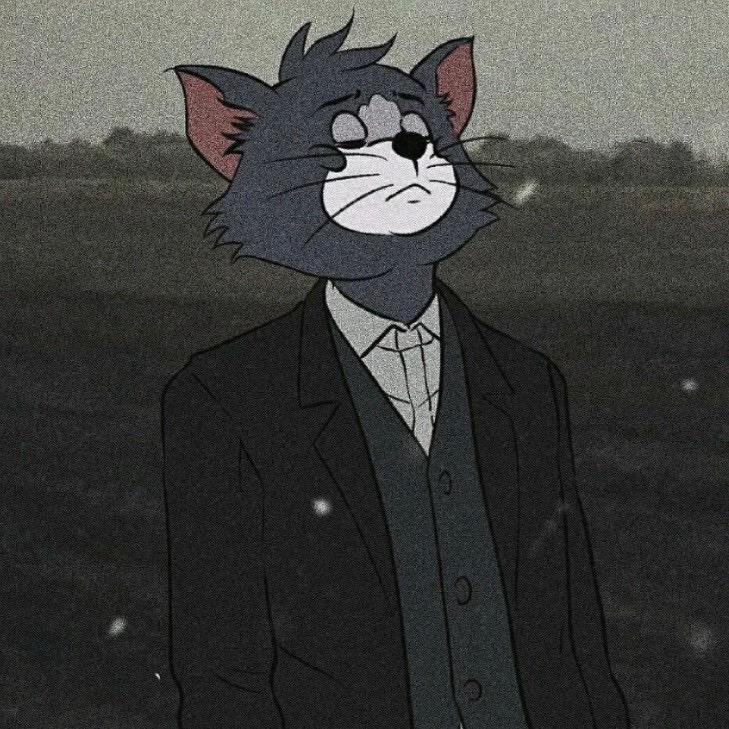汤姆不是猫