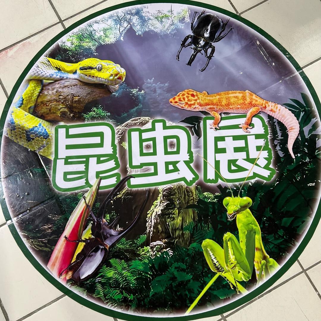 乳山市新奇体验馆