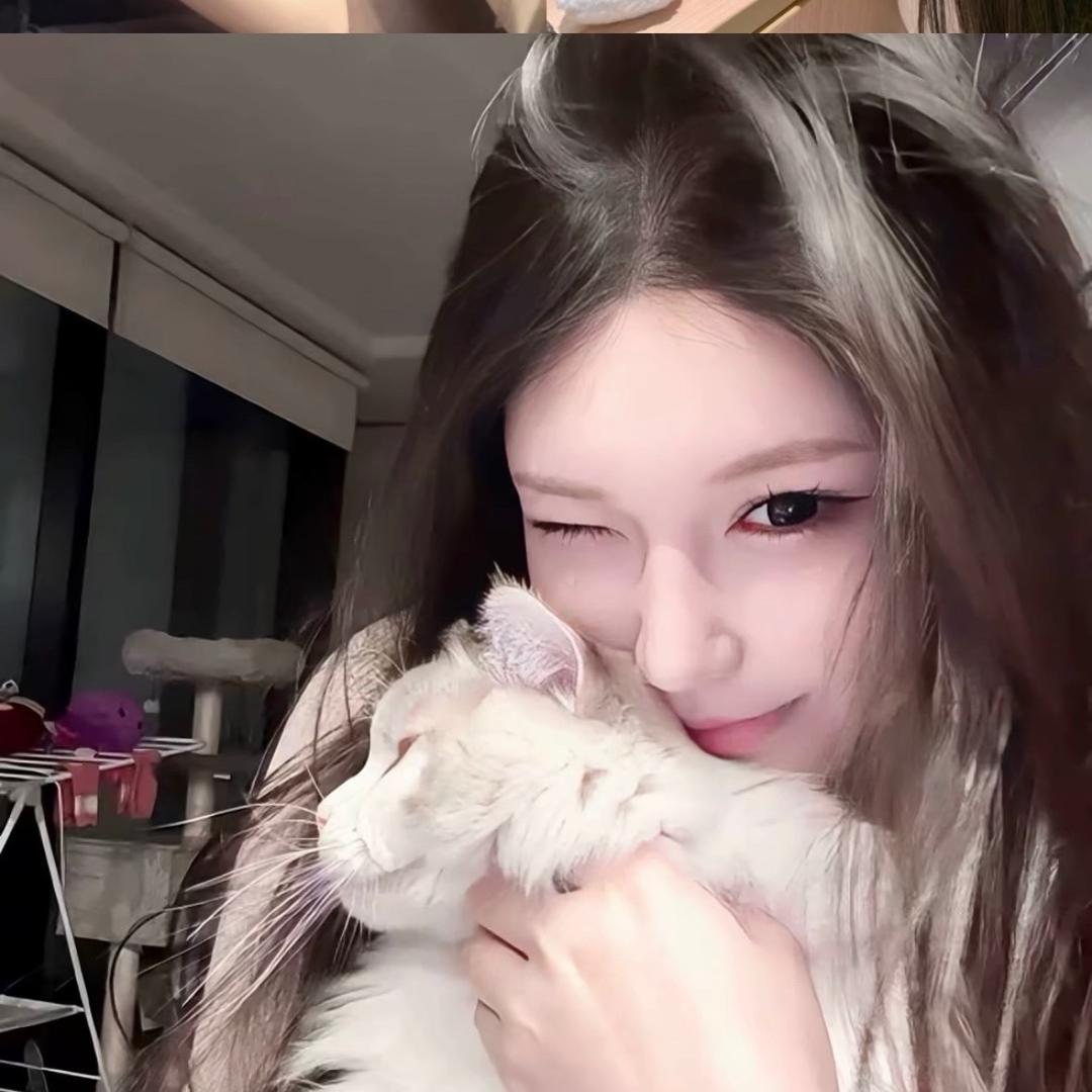 柚子猫