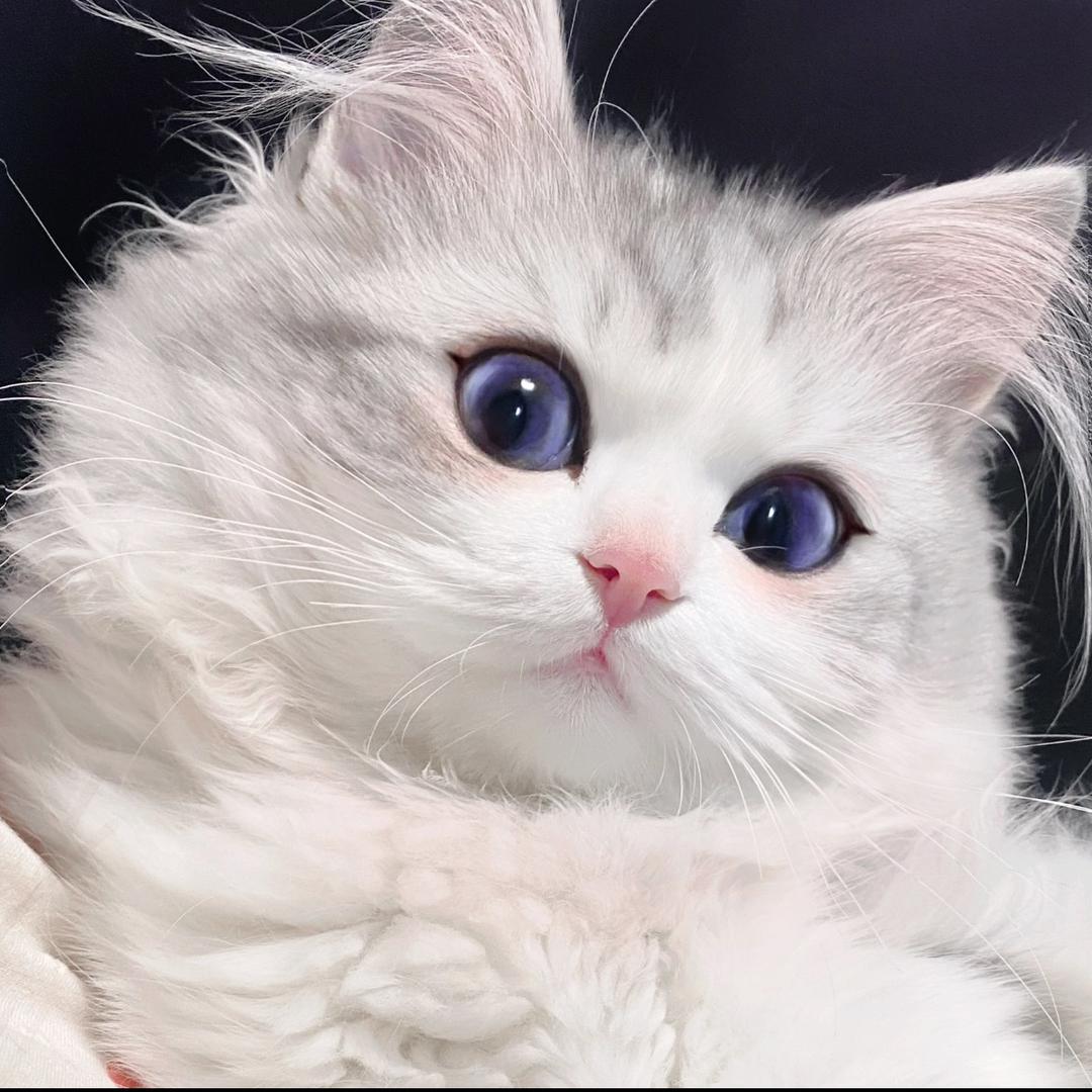 Qi7^