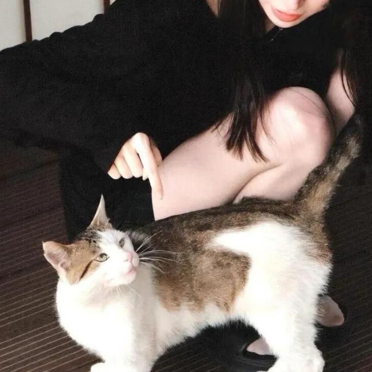 南宫问天