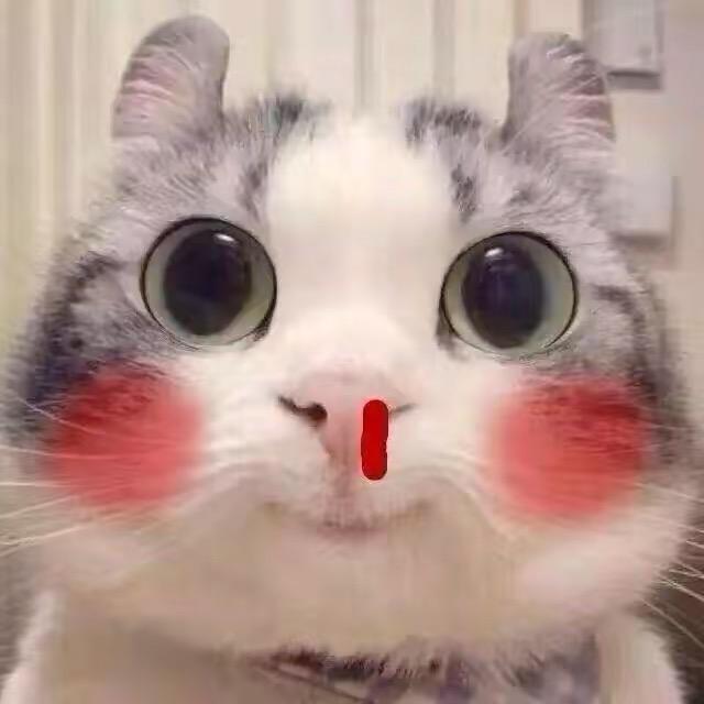 轩羽
