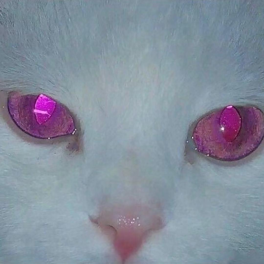 ppppp