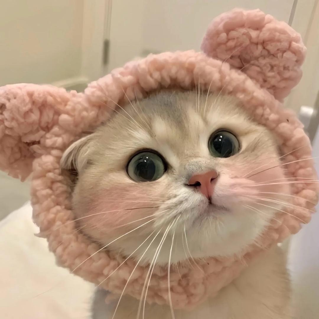 可可麻麻