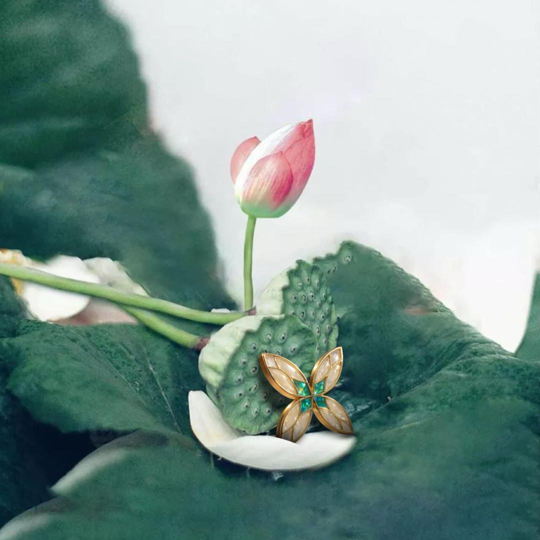 🌈未来城·西苑鑫鑫