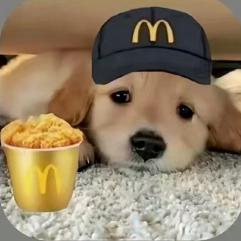 牛是哞哞🐮