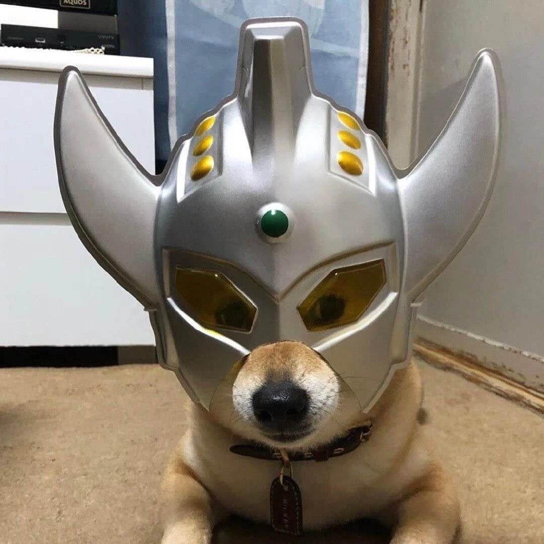 妮娷覺了嘛.