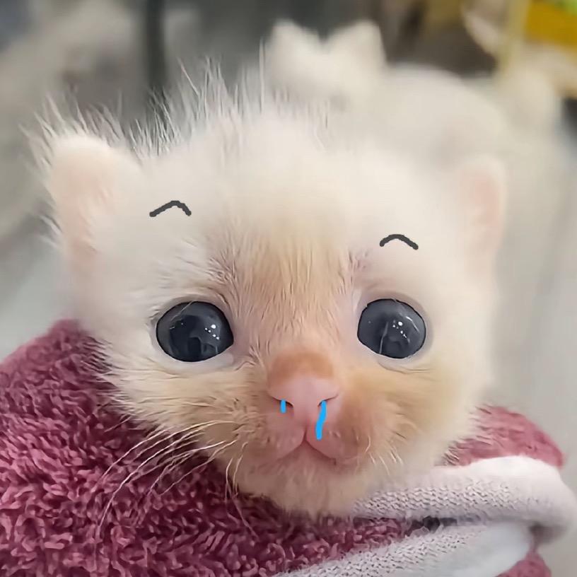 🥚.