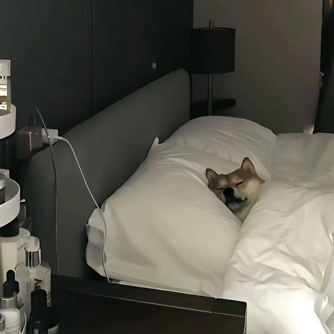 聂少（大魔王）