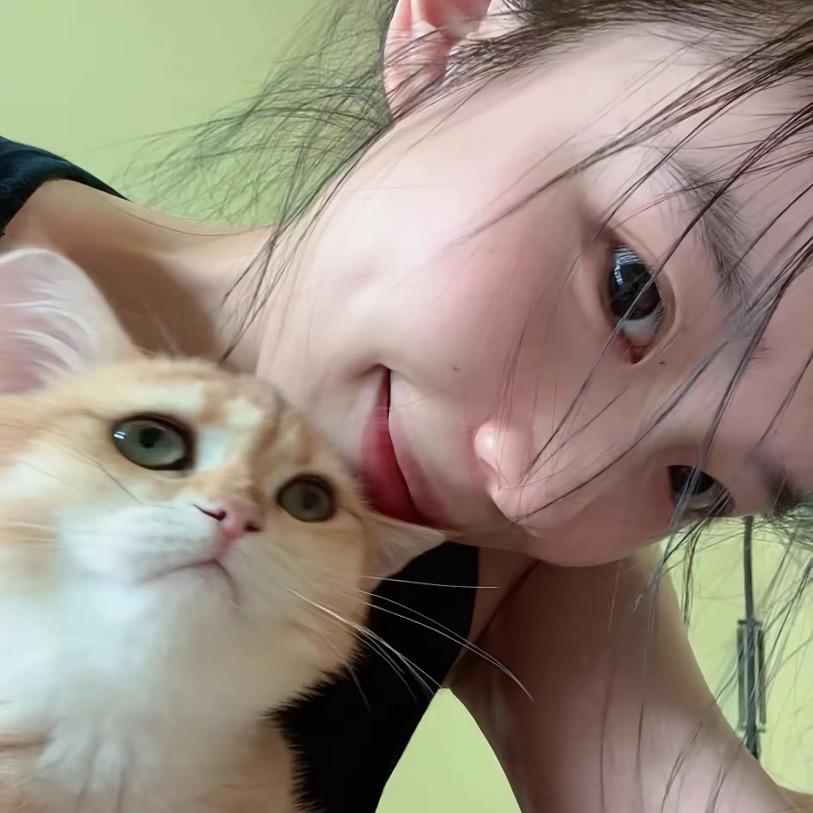 乌梅子酱