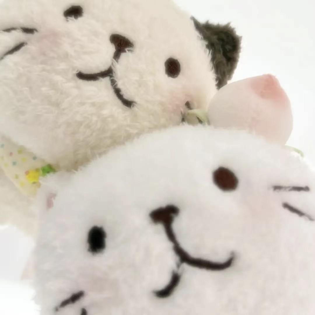 蓝莓