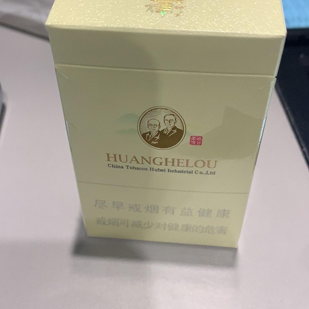 奔跑的犀牛