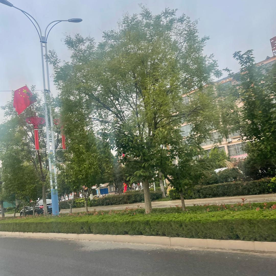 我心永恒太平洋